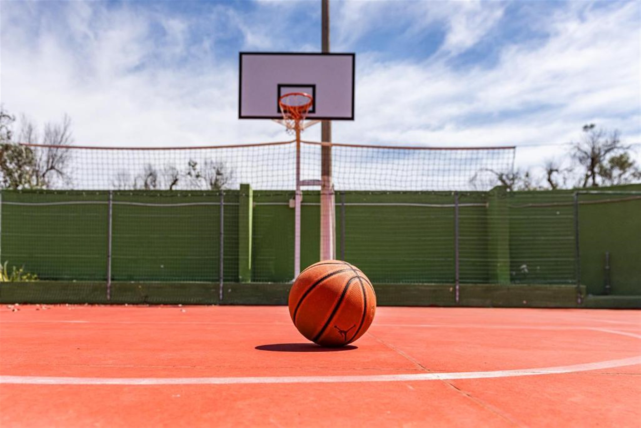 Palla da basket